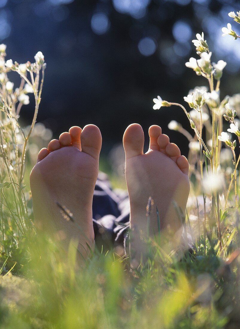 A child's feet in a field of flowers