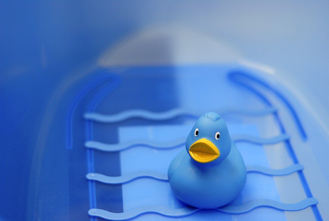 Blue rubber ducky in a blue bath tub