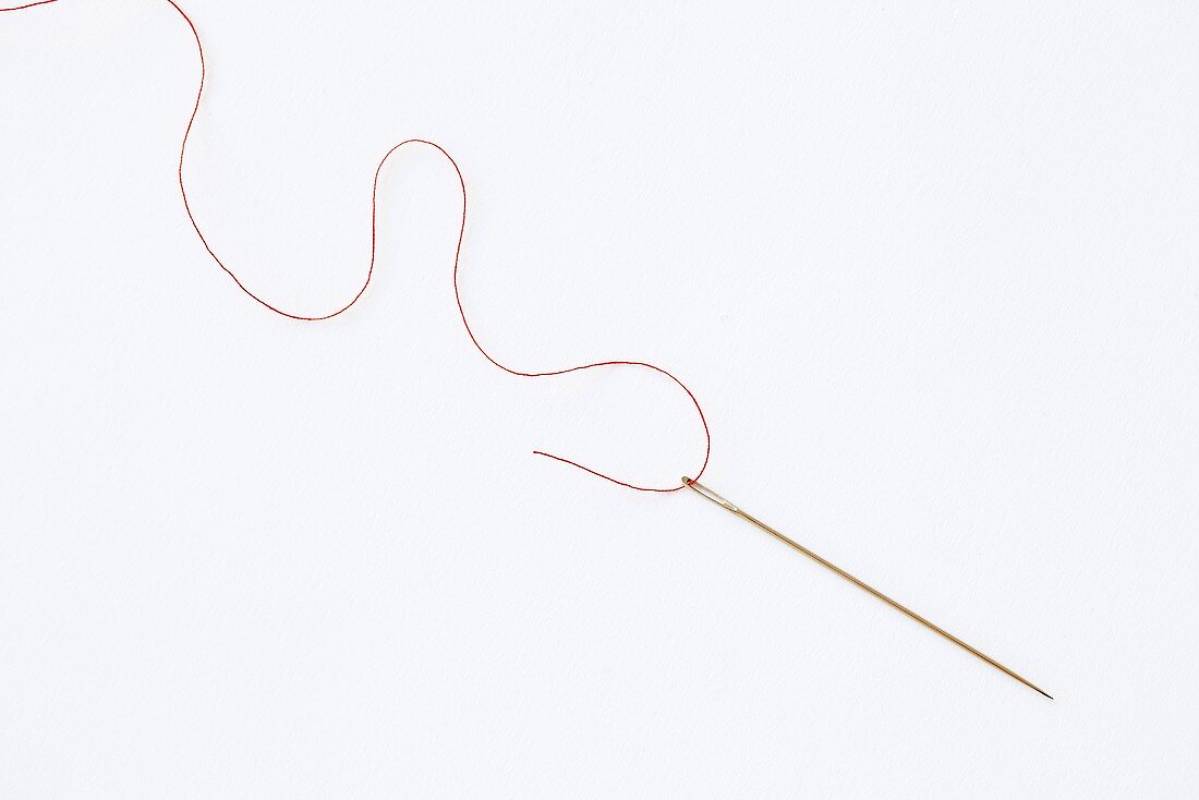A sewing needle with thread in front of a white background