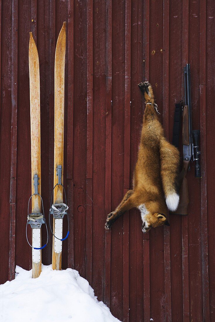 Holzskier, Gewehr & toter Fuchs vor Holzhütte