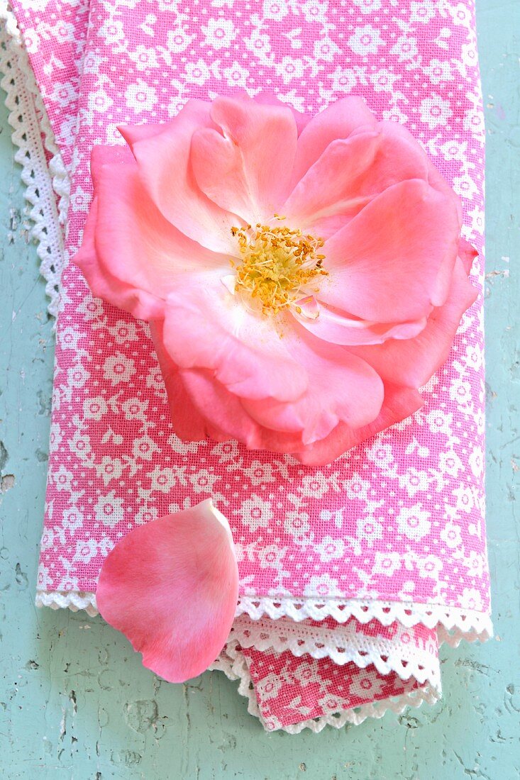 Rosa Rosenblüte auf Tuch