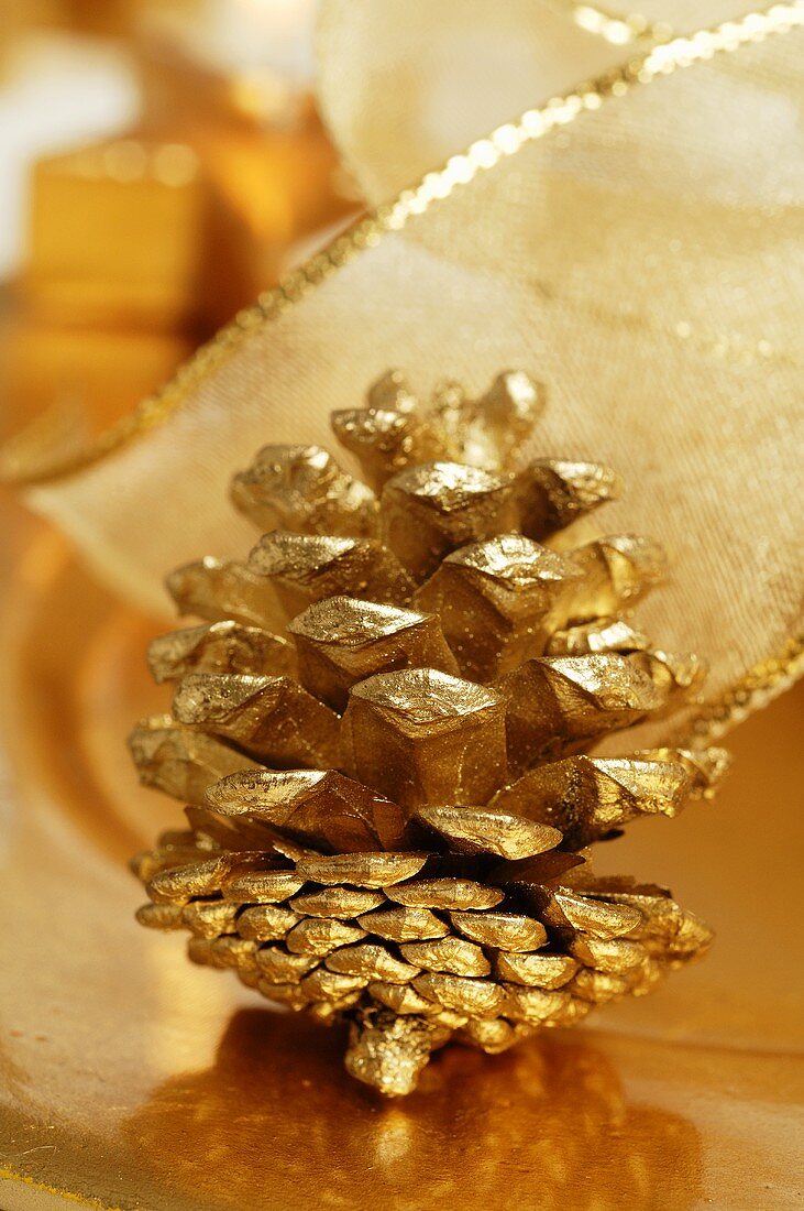 Gilded fir cone on Christmas plate