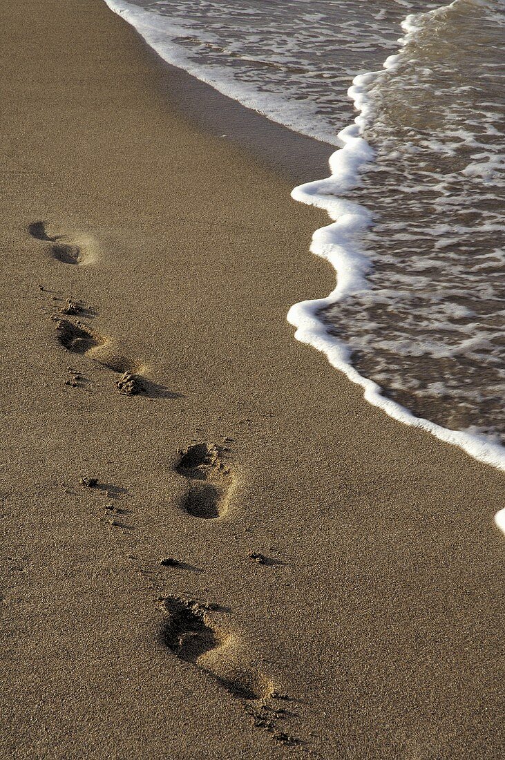 Fussspuren im Sand am Meer