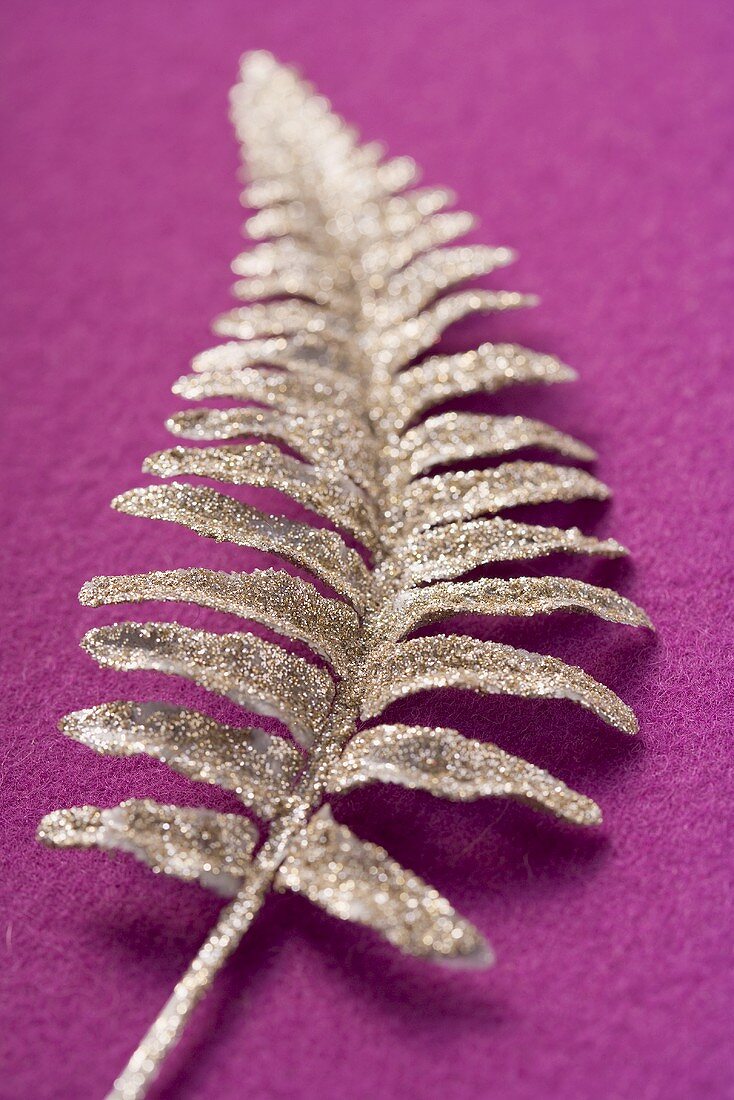 Silver fern (Christmas decoration)