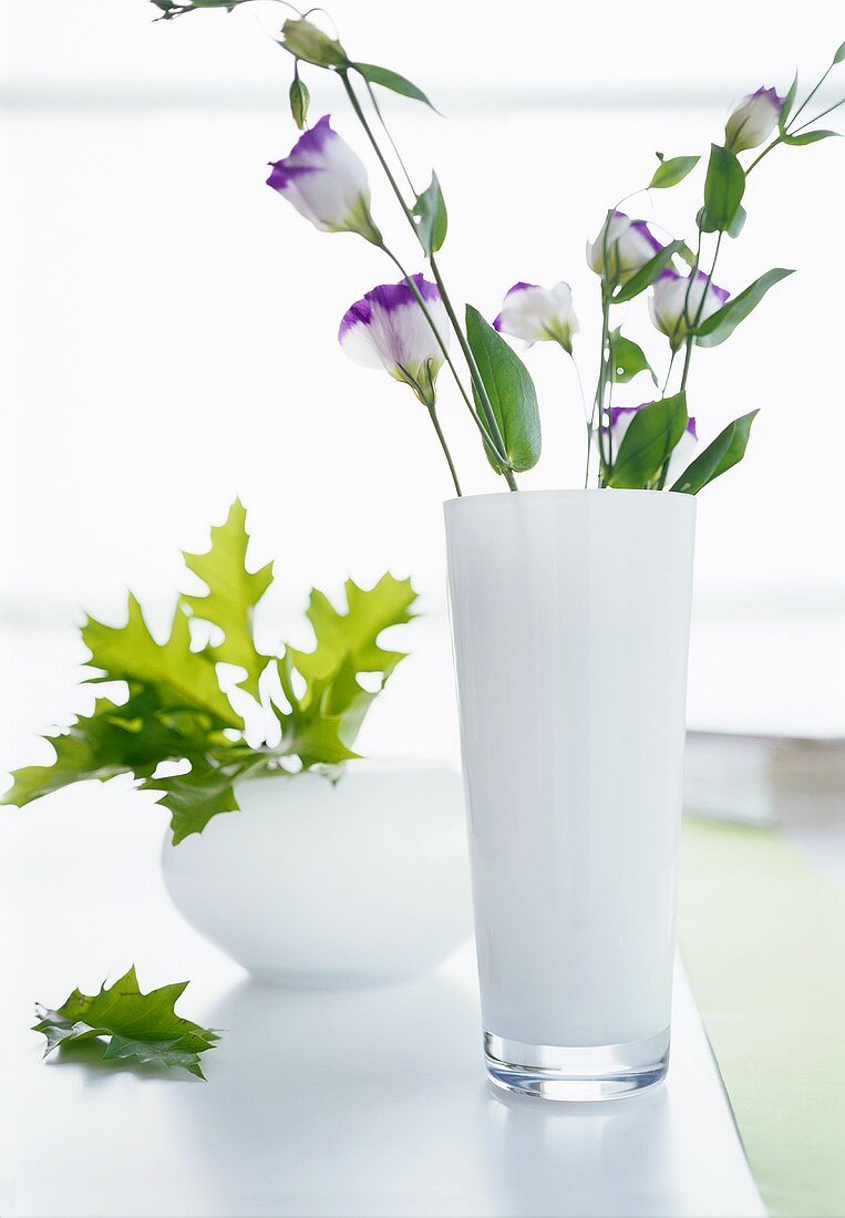 Lisianthus in tall, white, glass vase