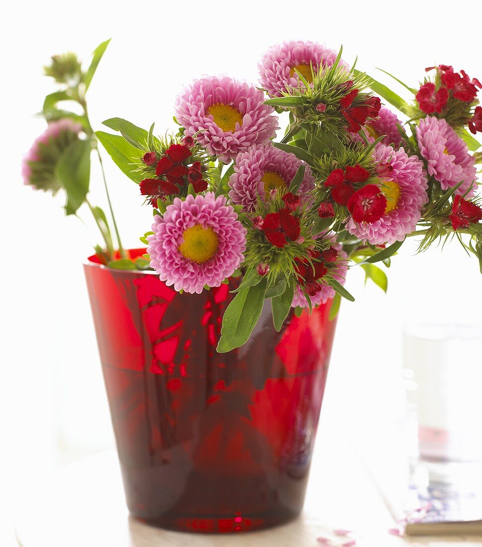Asters and sweet williams in red glass vase