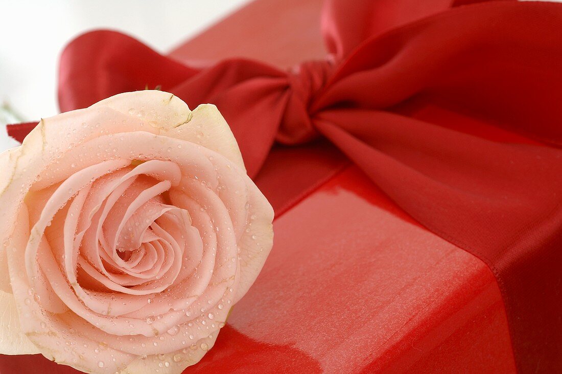Gift in red wrapping paper with ribbon and rose (close-up)