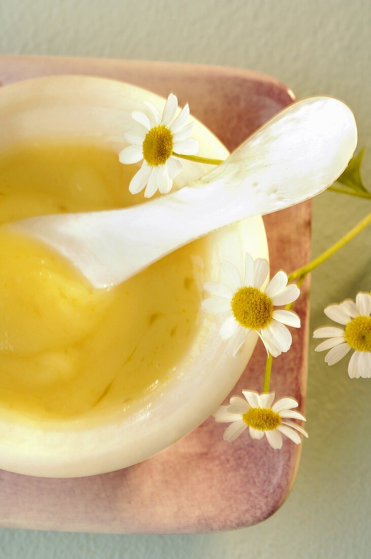 Chamomile cream and fresh chamomile flowers (detail)