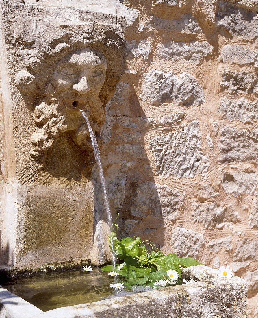 Wall fountain with well