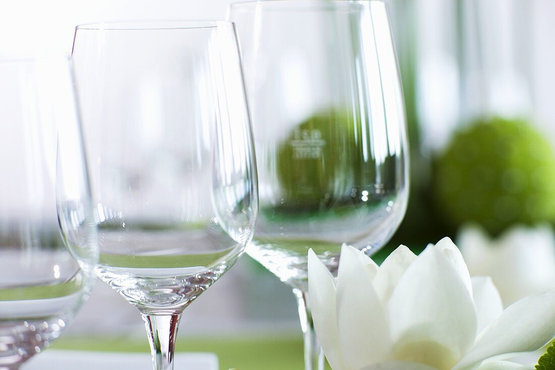 Wine glasses and flower on a table