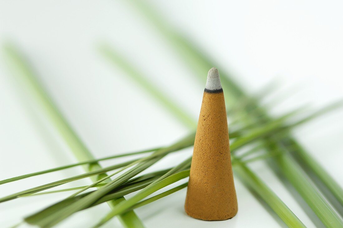 An incense cone and papryus sedge