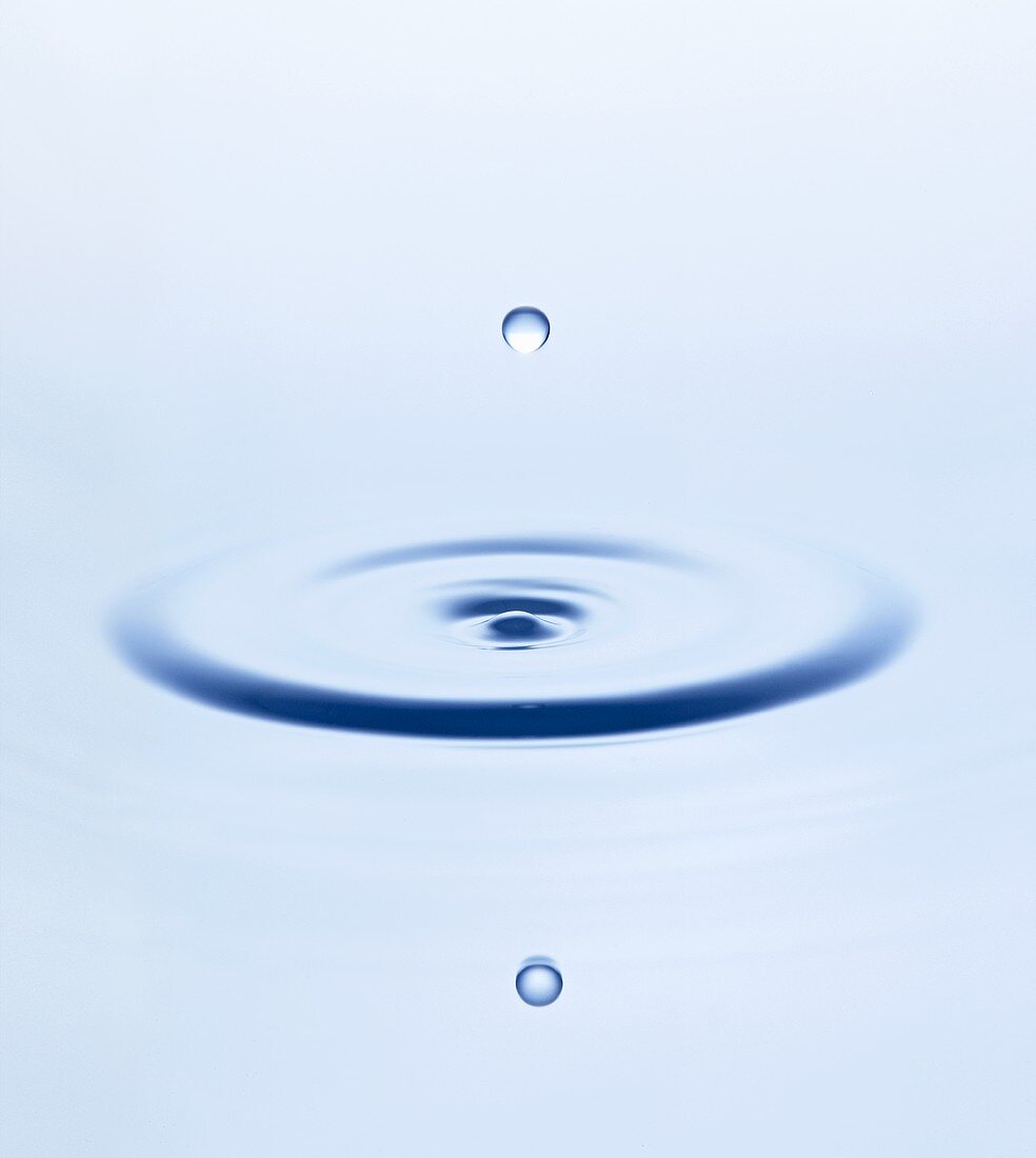 Drop of water falling into water and making ripples