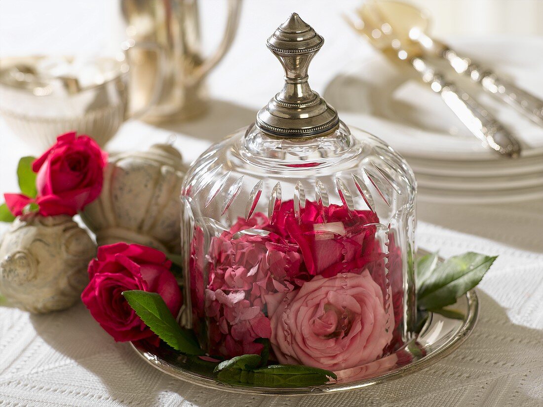 Roses under a glass dome