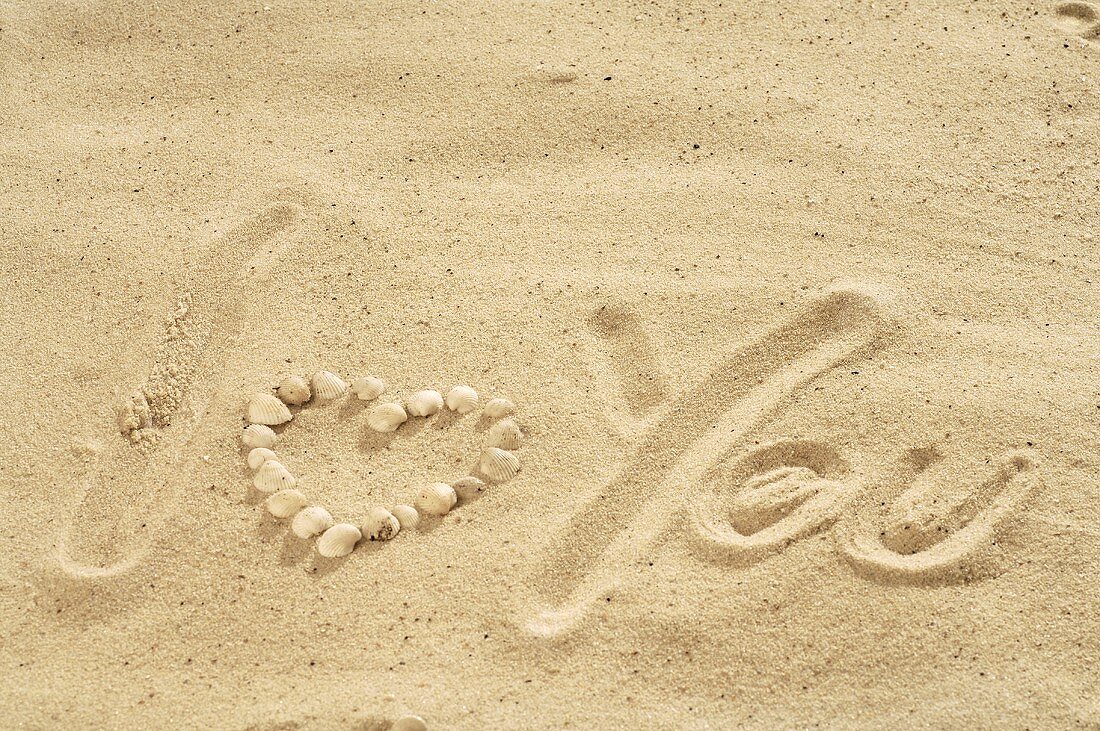 Schriftzug I love you mit Muscheln im Sand