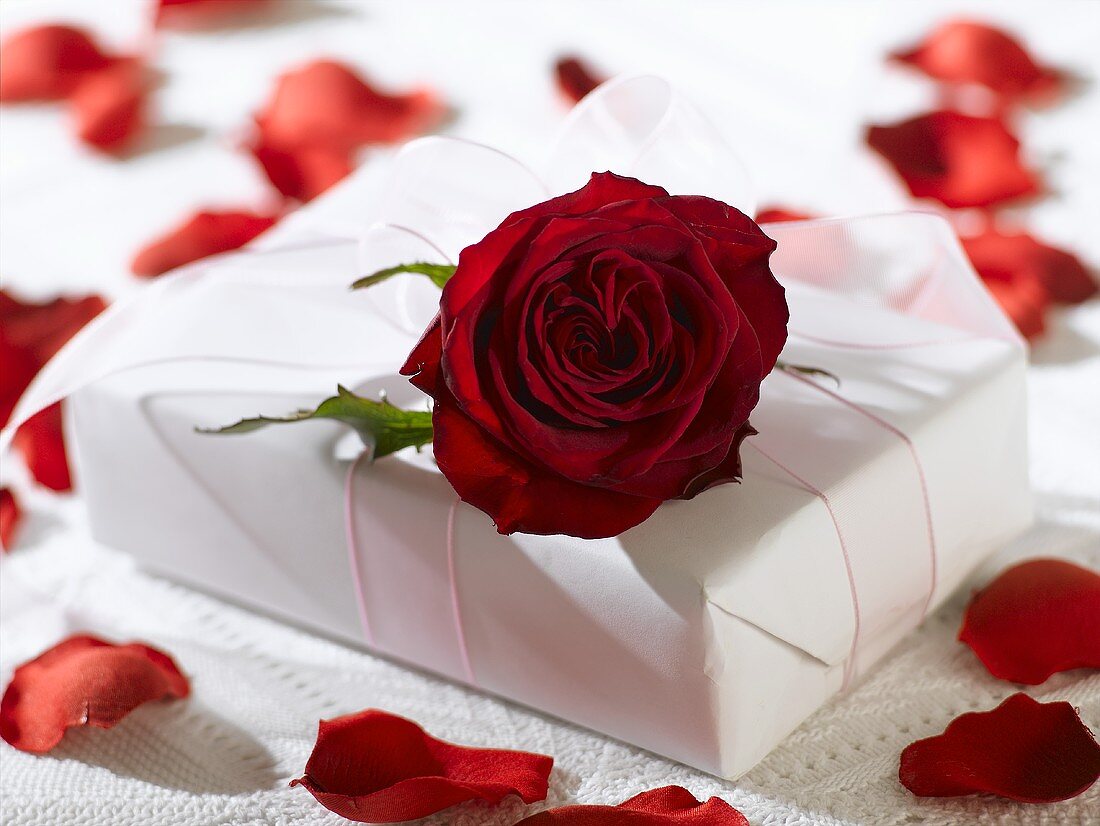 Weiß verpacktes Geschenk mit roten Rosen
