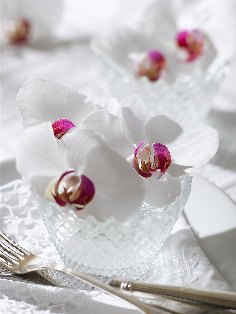 Elegant place-setting with white orchid in crystal glass