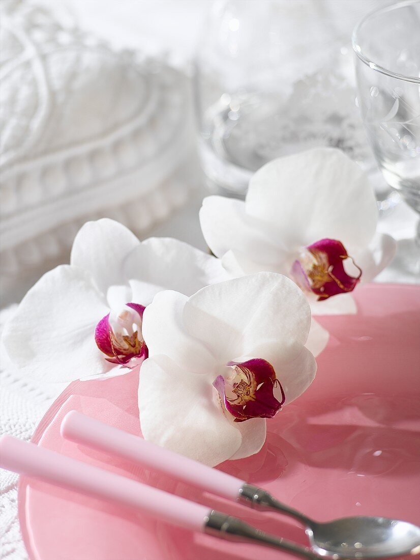 Gedeck mit rosa Teller, Besteck und weissen Orchideenblüten