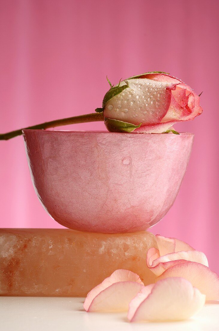 Rose laid across a bowl