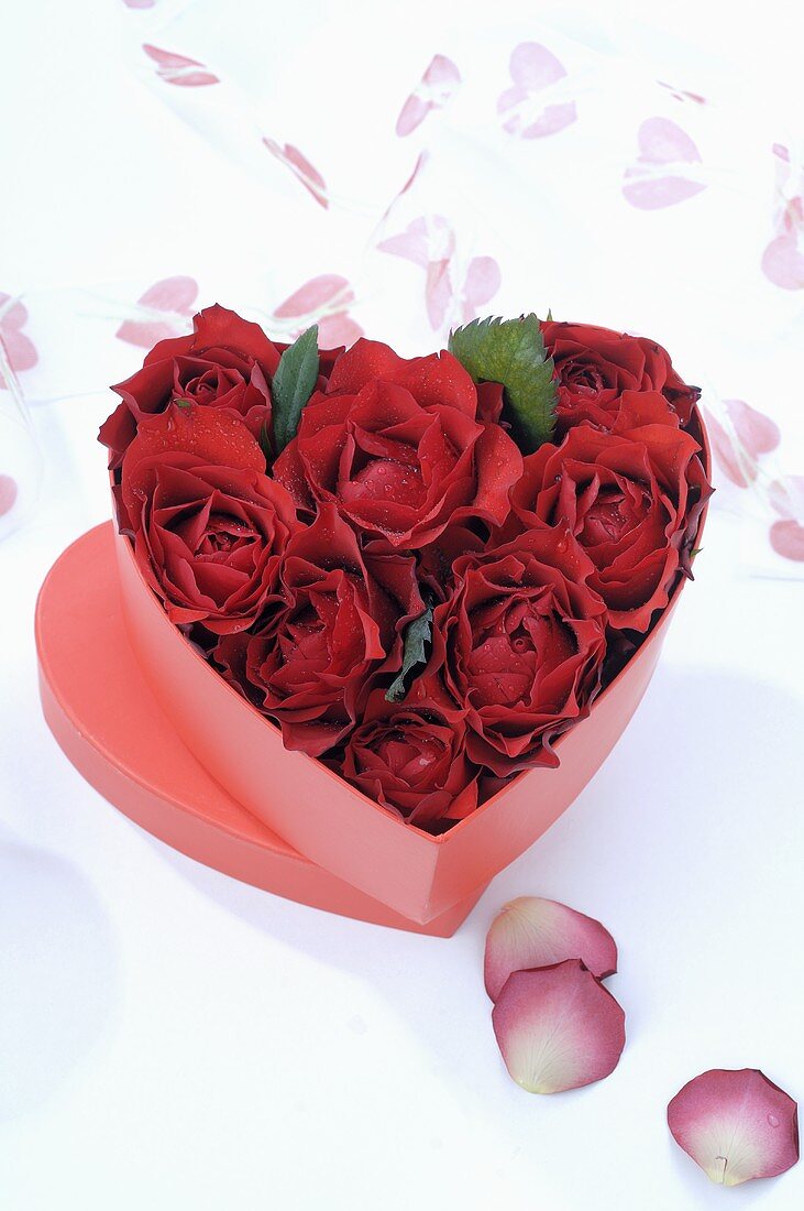 Herzförmige Schachtel mit roten Rosenblüten