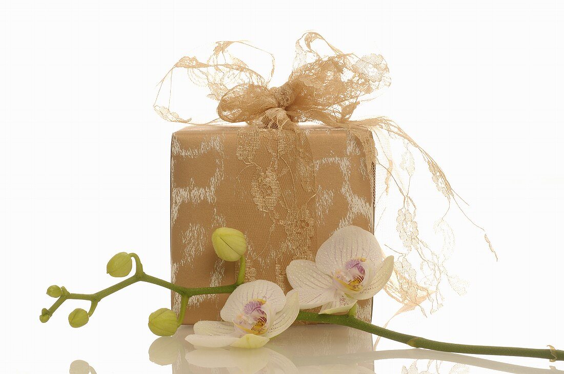 Geschenk und Orchidee