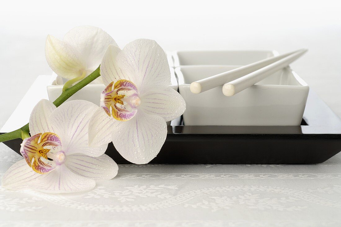 Dishes with chopsticks and orchids (Asia)