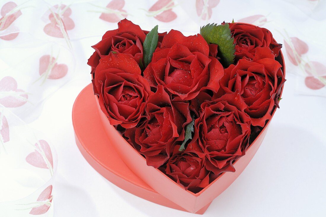 Herzförmige Schachtel mit roten Rosen