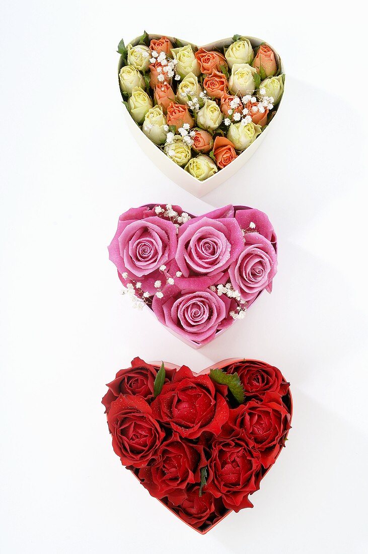 Three heart-shaped boxes filled with roses