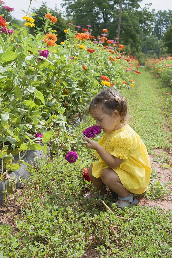 Kleines Mädchen riecht an Blume im Garten