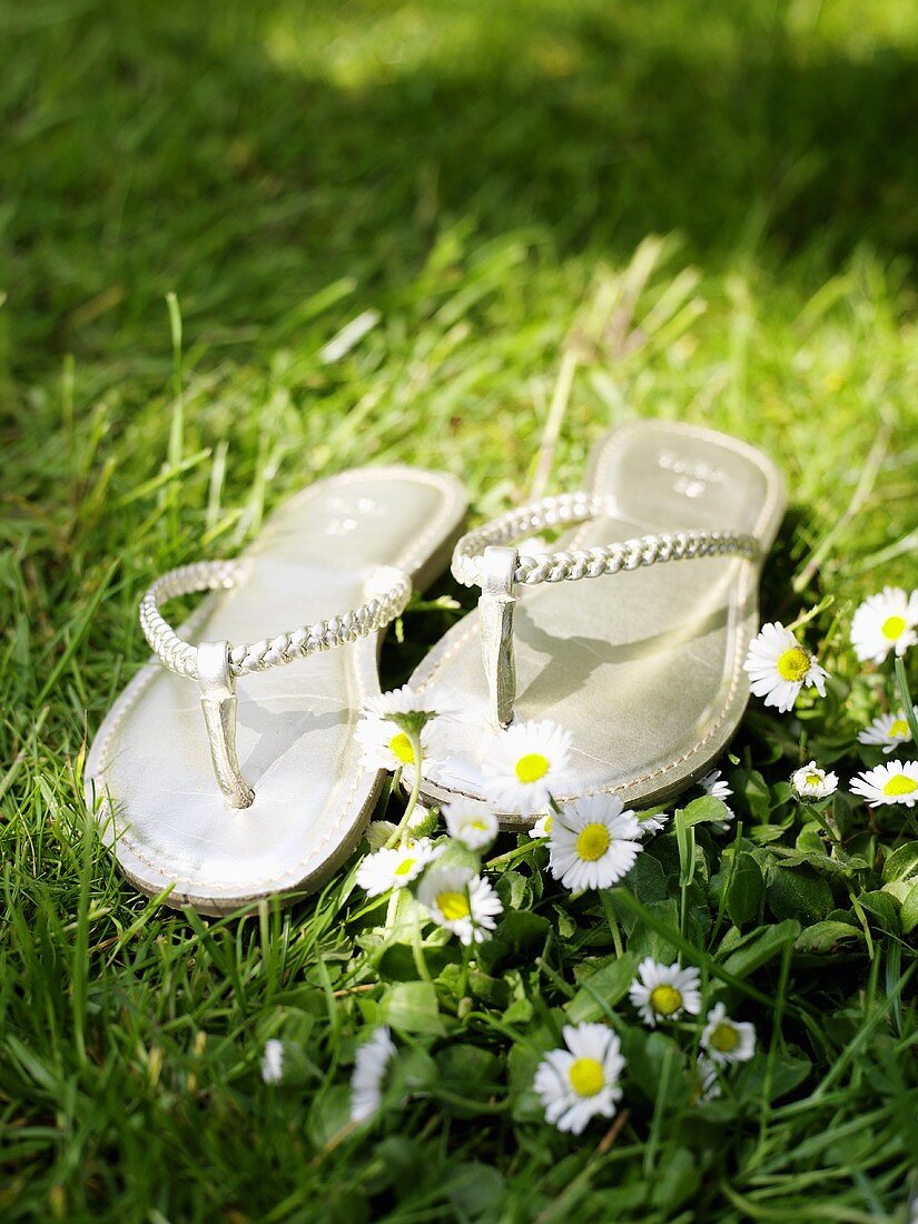 Silver flip-flops on grass with daisies