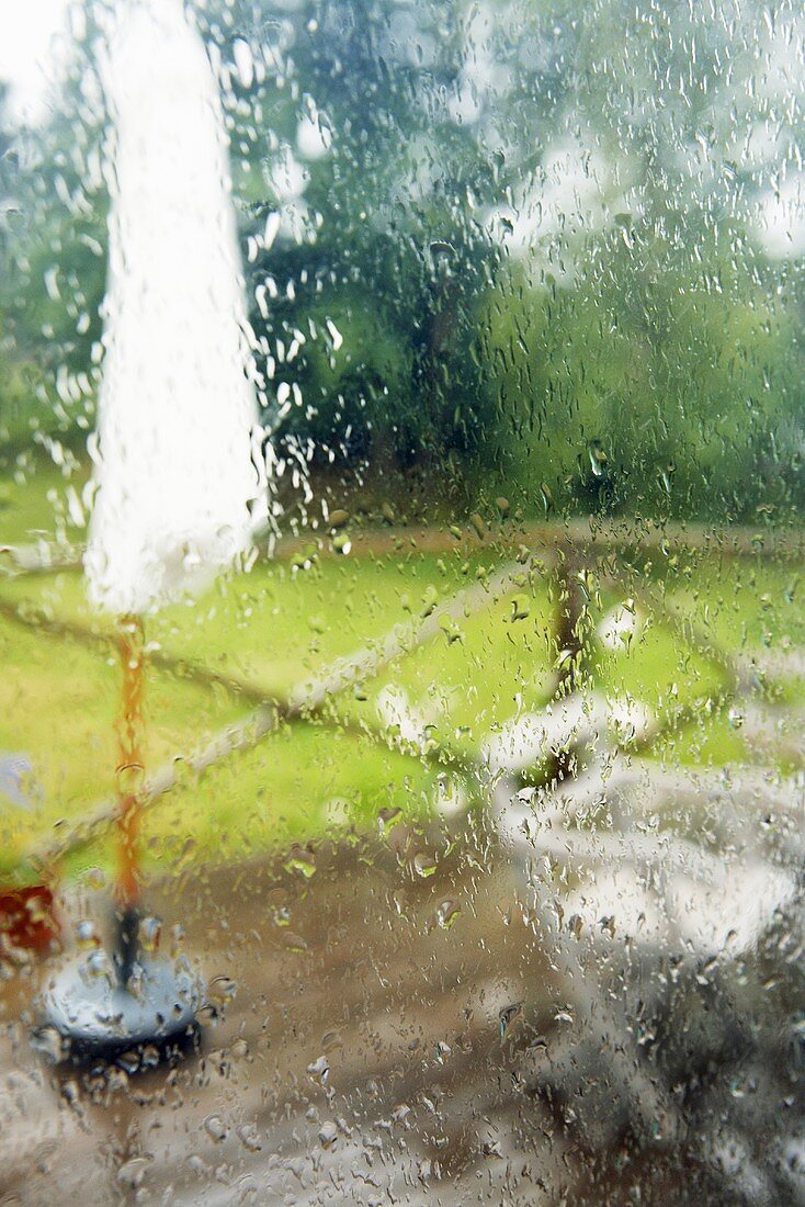 View of garden through rainy window