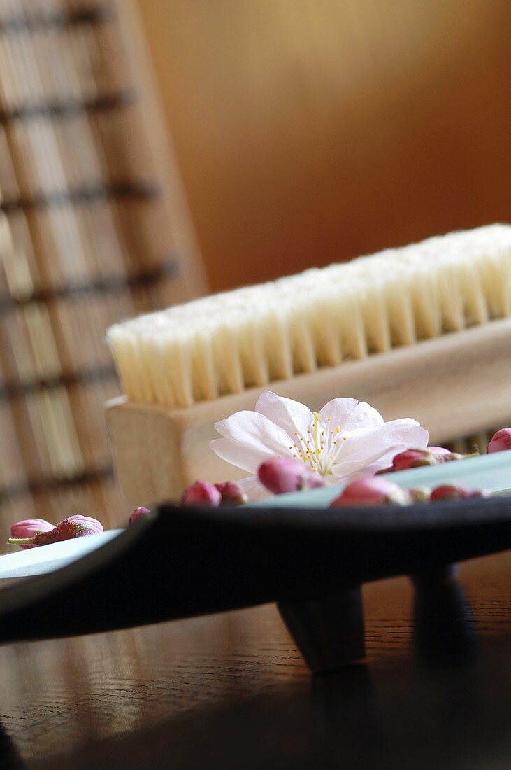 Blossoms on platter, nailbrush in background, close-up