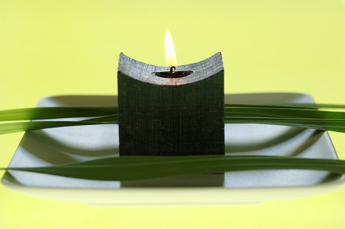 Candle and flower leaves on plate, close-up
