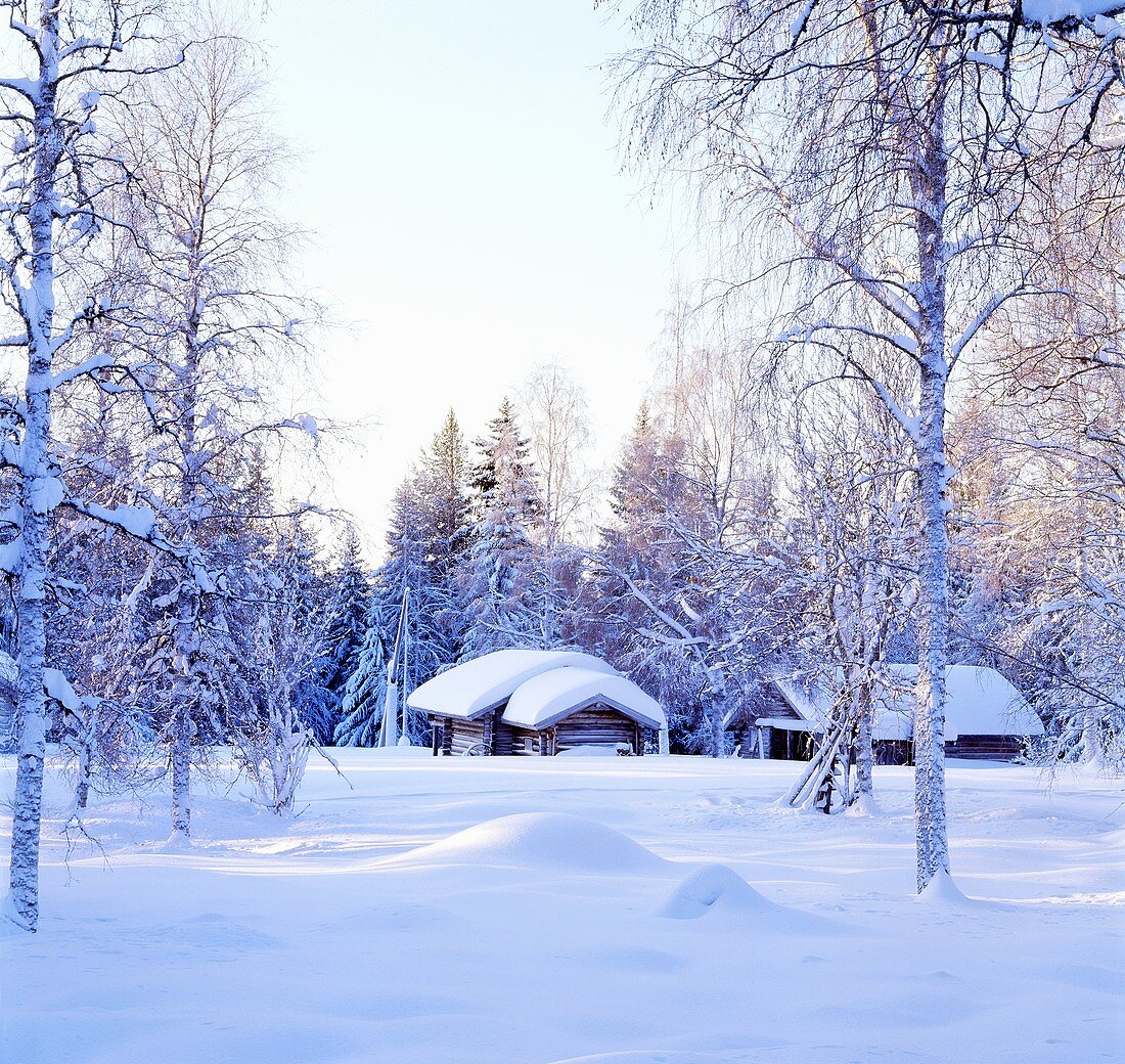 Snow-covered cabins in a winter landscape