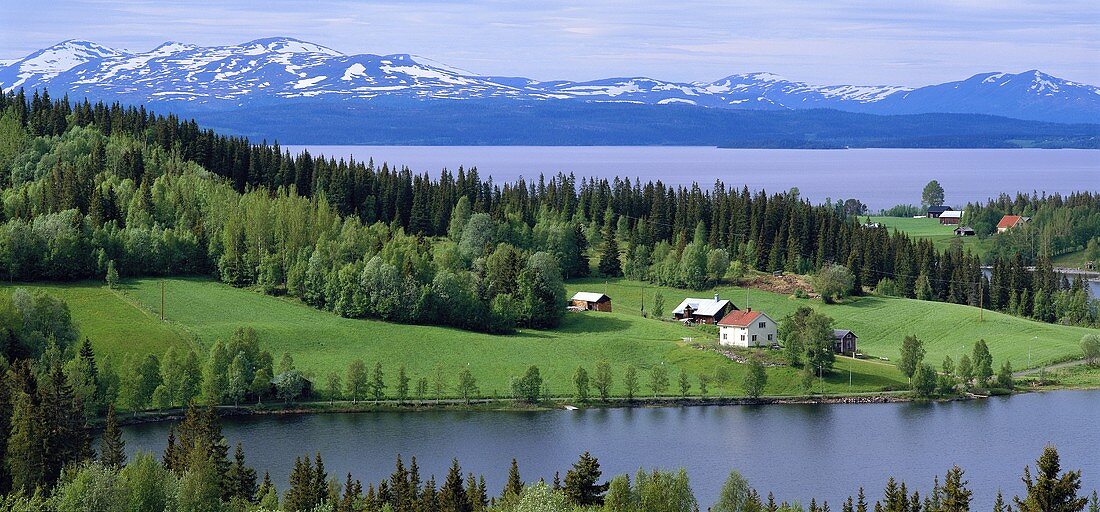 Country homes by a lake in Sweden