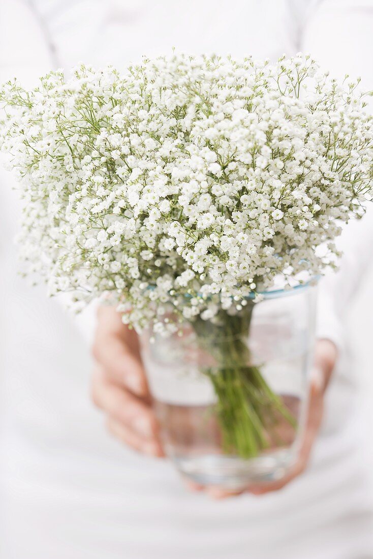 Frau hält einen Strauss Schleierkraut in Vase