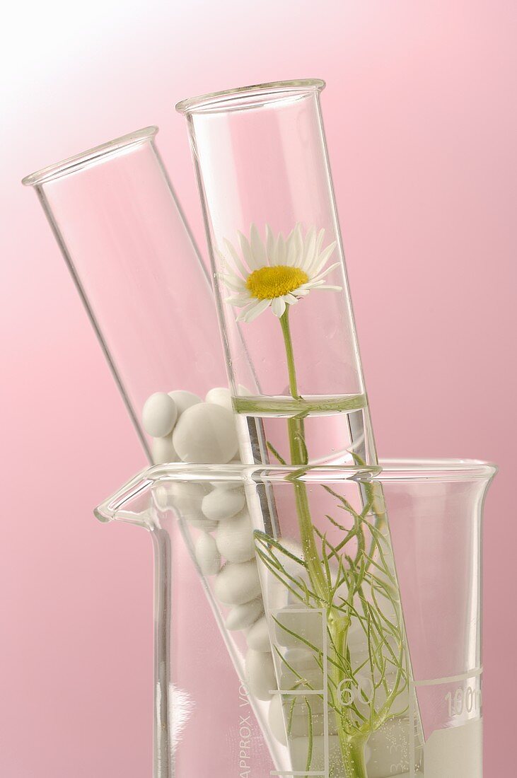 Kamillenblüten und Tabletten in Glasröhrchen