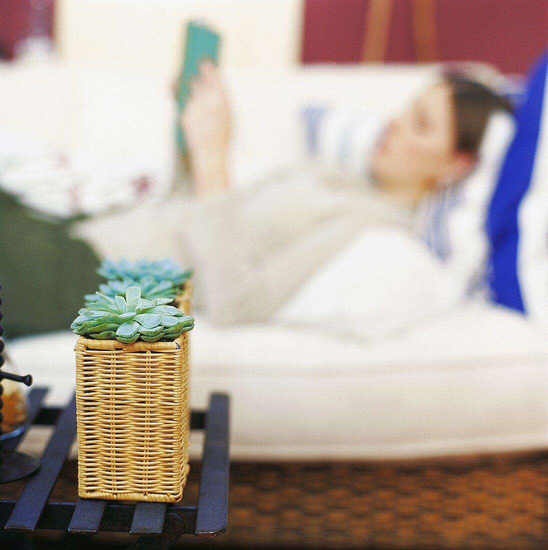 Plant in basket, woman lying on sofa reading in background