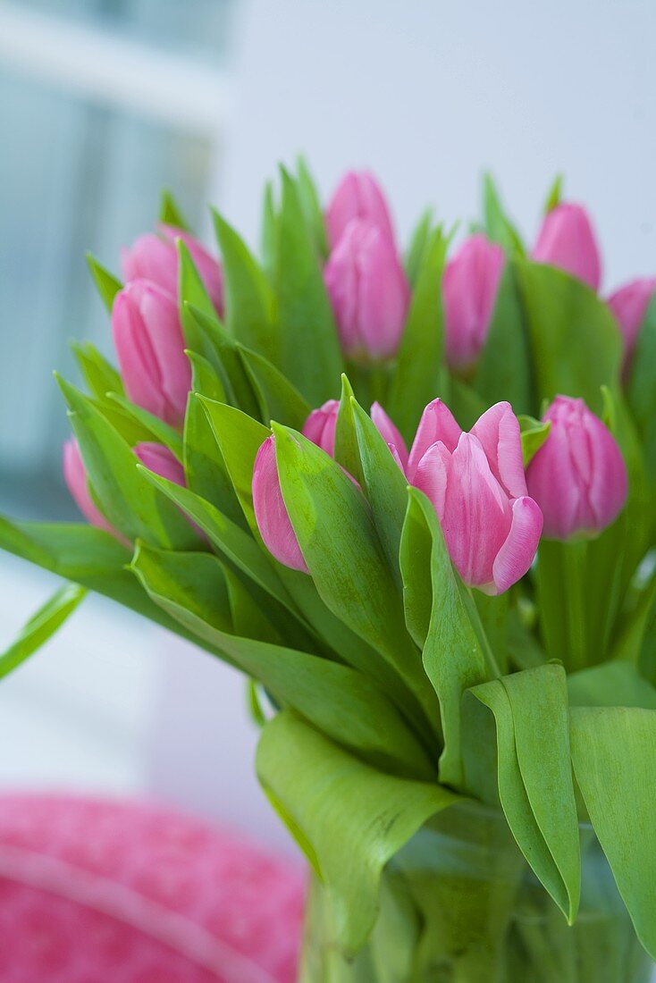 Vase of pink tulips