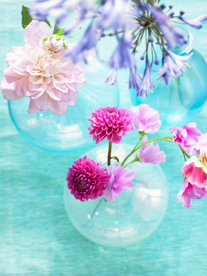 Verschiedene Blüten in Blumenvasen