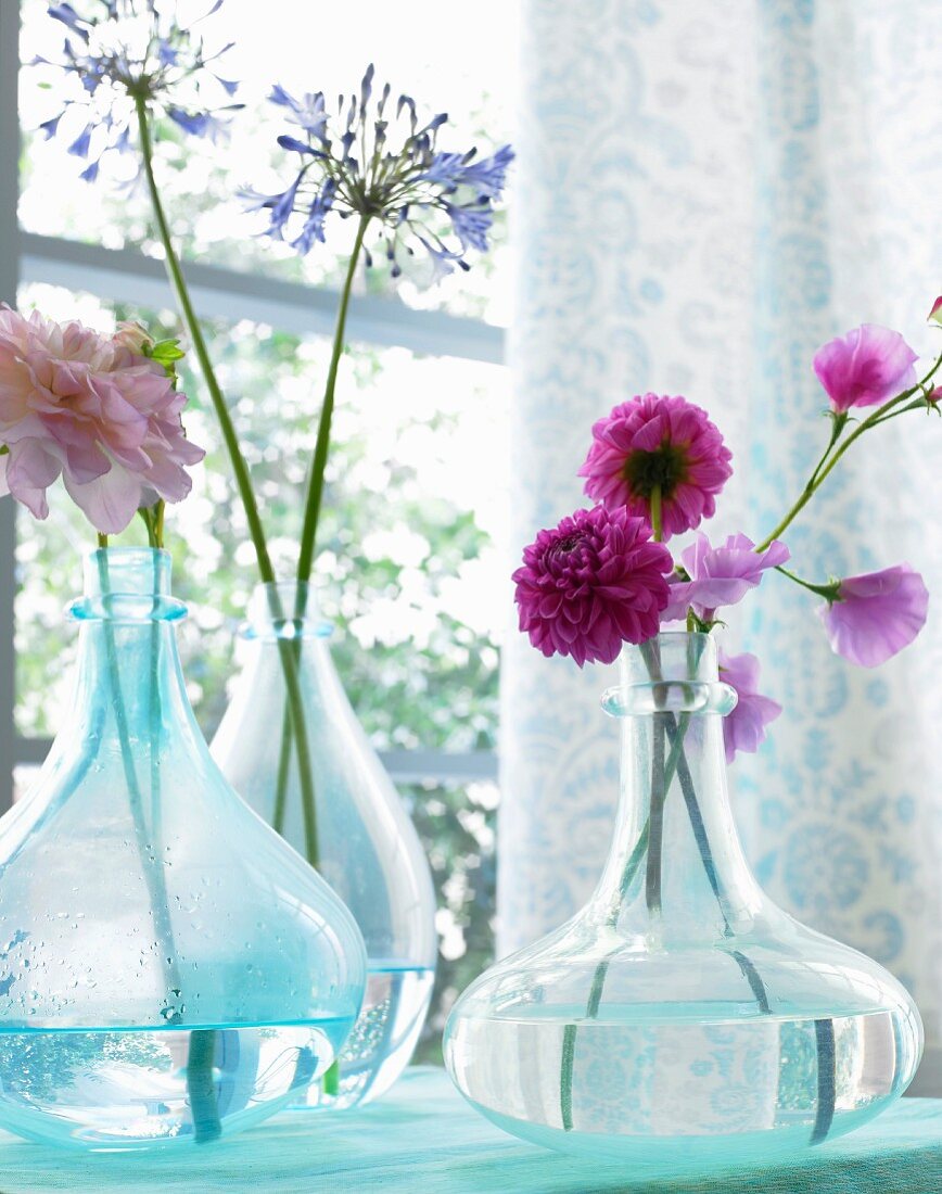 Dahlien, Wicken & Schmucklilienblüten in Glasvasen auf Fensterbrett