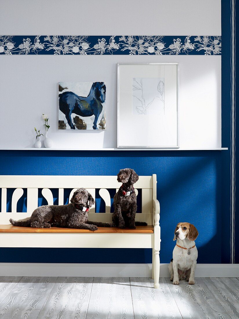 Hunde neben und auf rustikaler weißer Holzbank vor blau-weisser Wand mit Bordüre