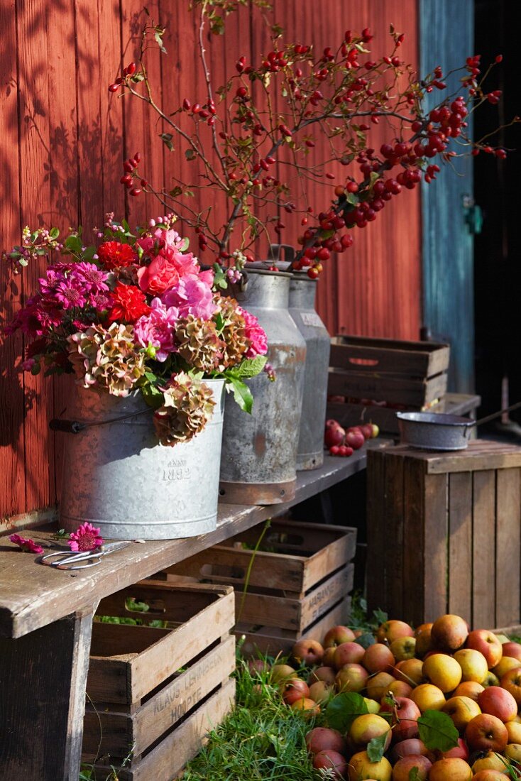 Blumen in Milchkannen auf Holzbank darunter Holzkisten & Äpfel