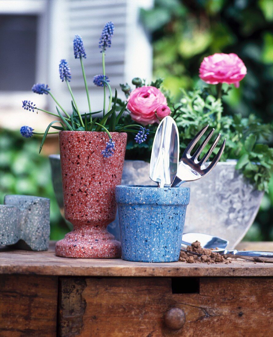 Terrazzo-Töpfe mit Gartenwerkzeugen und Blumen