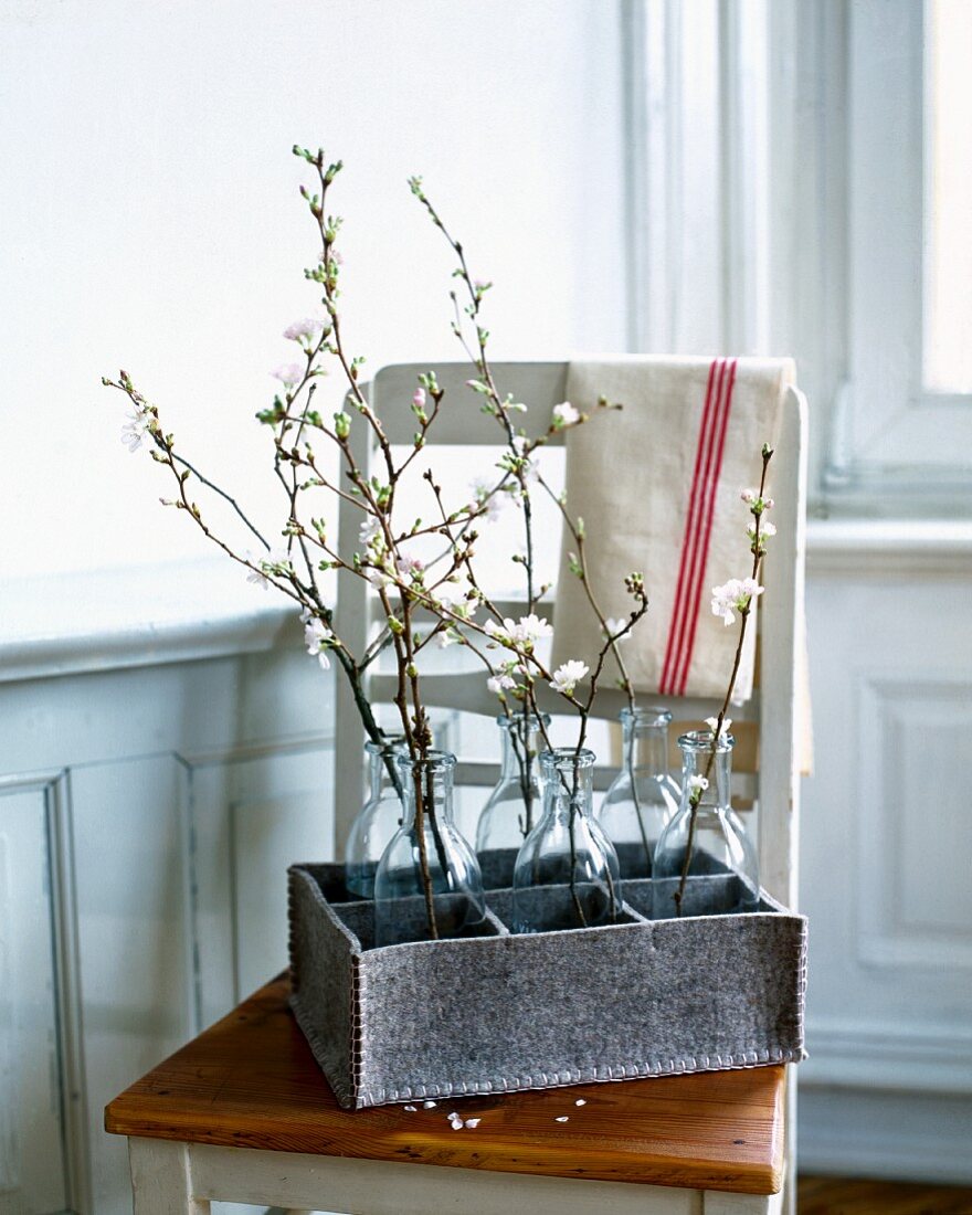 Bottles of cherry blossom twigs in tray