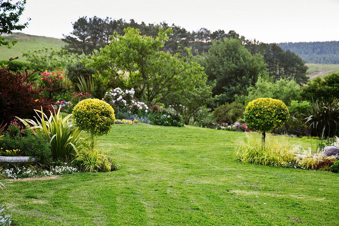 Blick auf weitläufige Gartenanlage mit Rasenfläche & Ligusterbäumchen