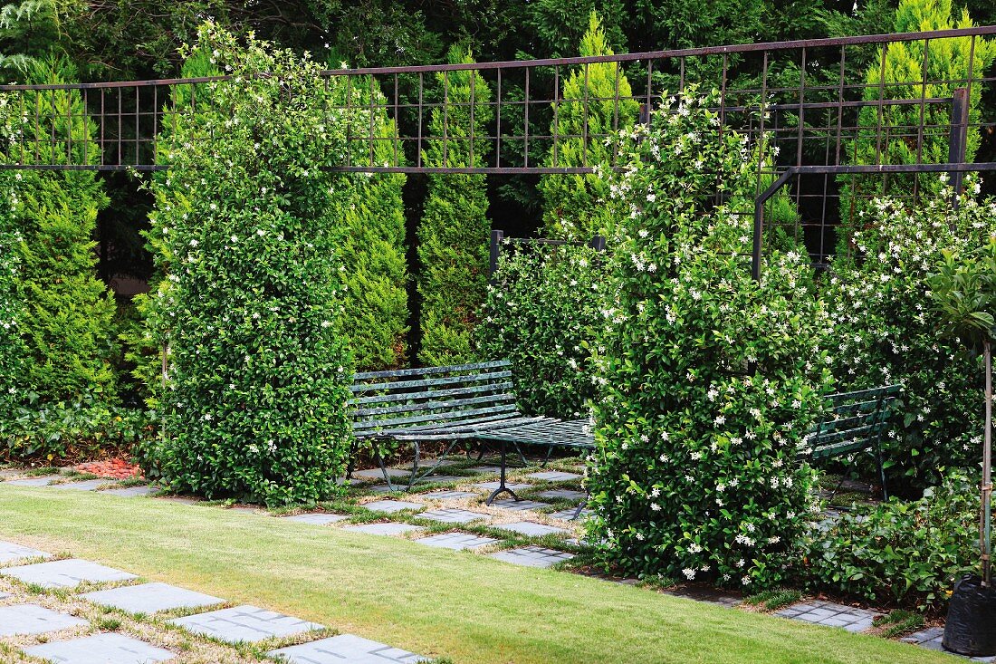 Quiet seating area amongst jasmine bushes covered in white flowers
