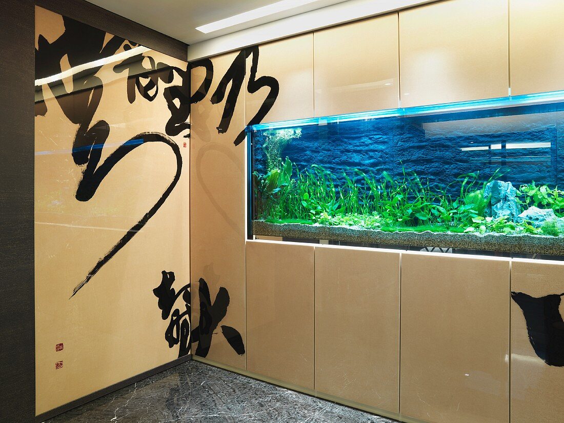 Chinesische Zeichen auf Wandverkleidung und beleuchtetes Aquariumfenster mit Pflanzen