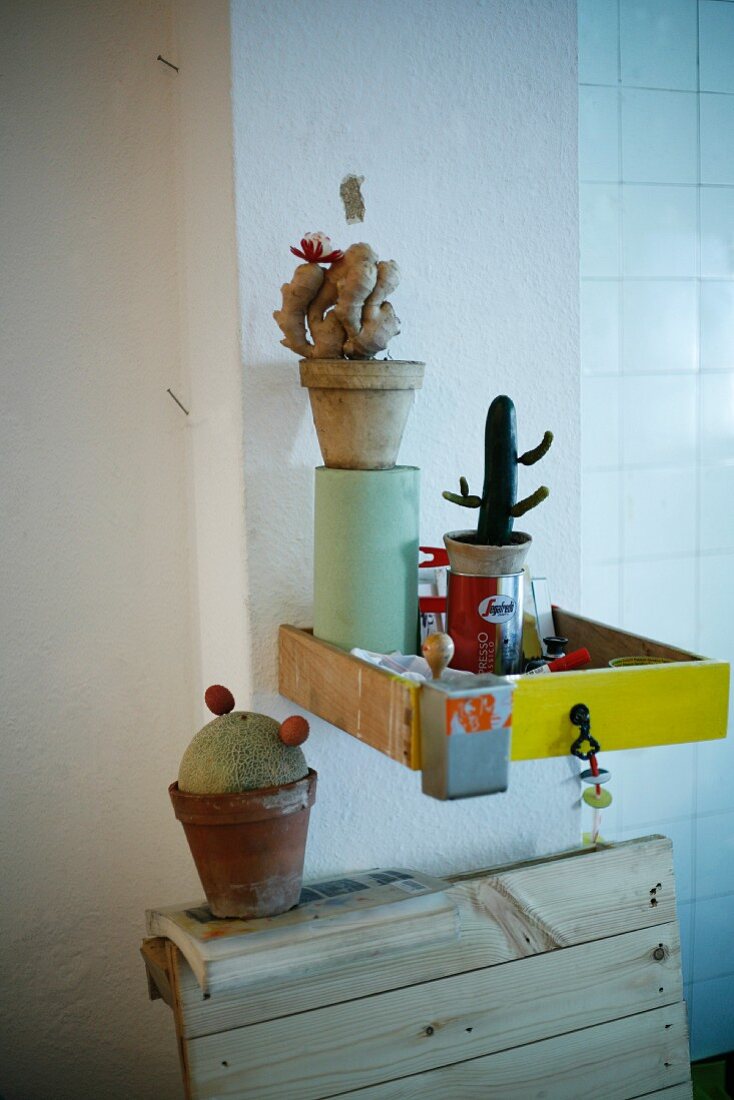 Ingwer, Gurke und Melone als Kakteen in Pflanzentöpfen in Schublade arrangiert und an Wand befestigt