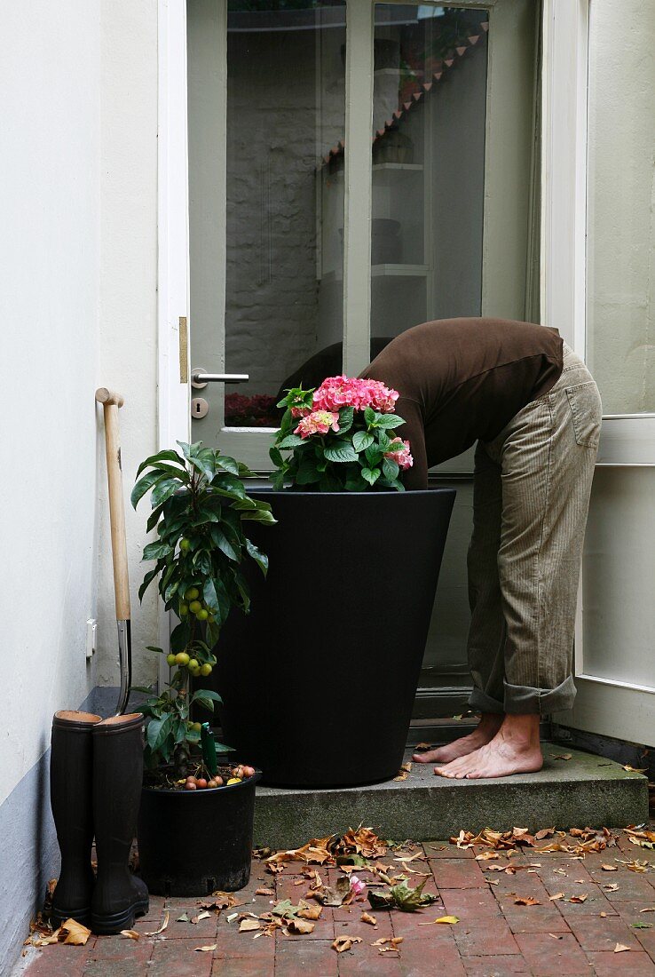 Gartenarbeit - Mann pflanzt Blumen in grossen Behälter vor Gartentür
