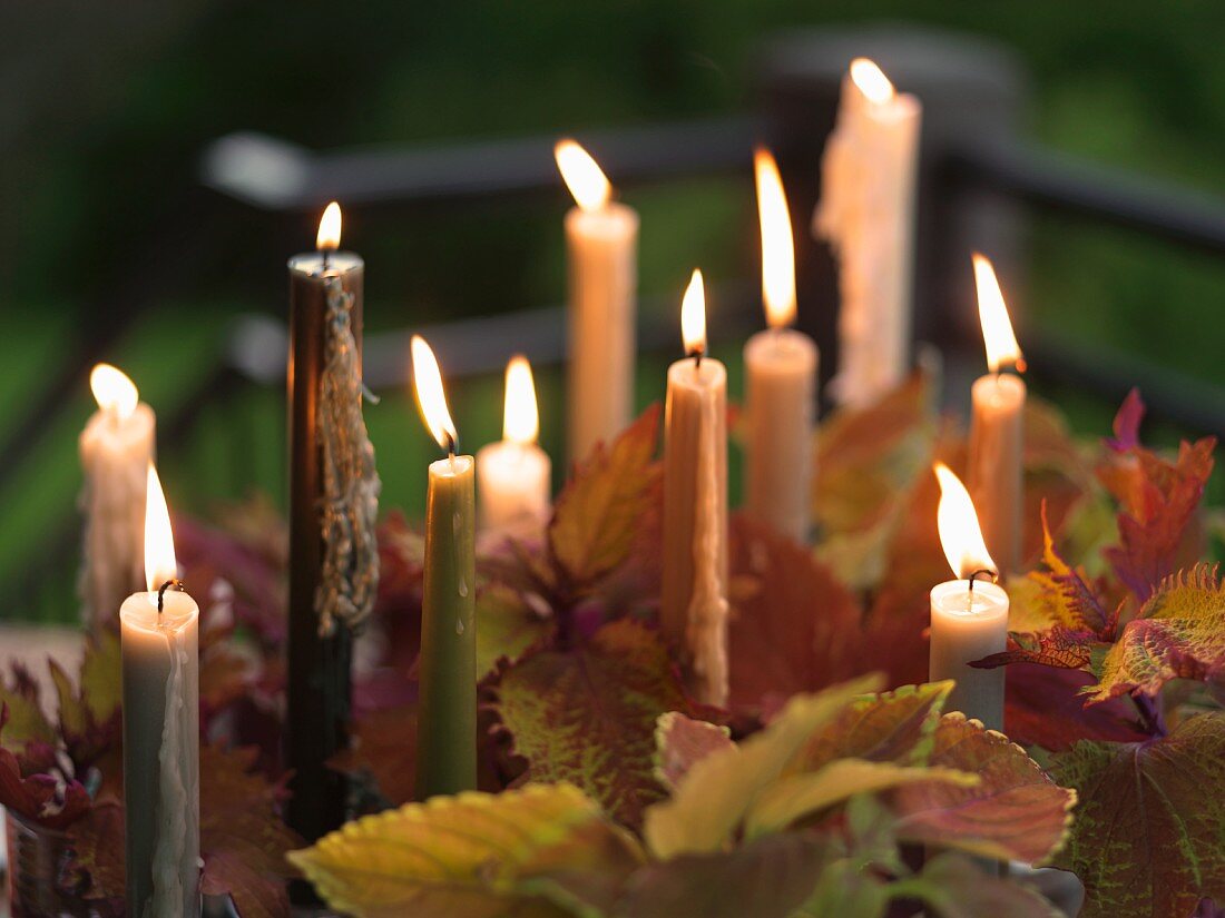 Brennende Kerzen zwischen Blättern auf Tisch im Freien